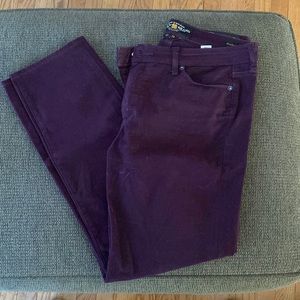 Lucky Brand Hayden Skinny Jeans In Plum Purple - Size 12/31